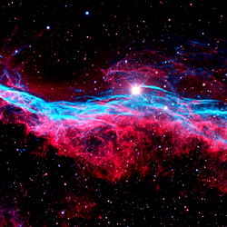 Angelica Sanchez photo