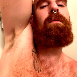 Ginger Viking: An AVL NC, USA Model