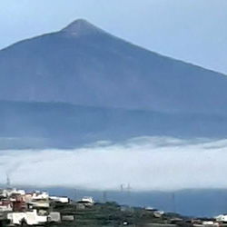 🐒Monoso🐻 photo