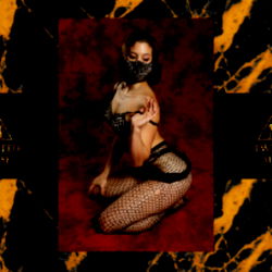 Twisted Muse Co. photo