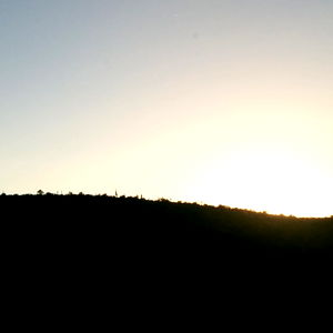 mario does weird stuff photo