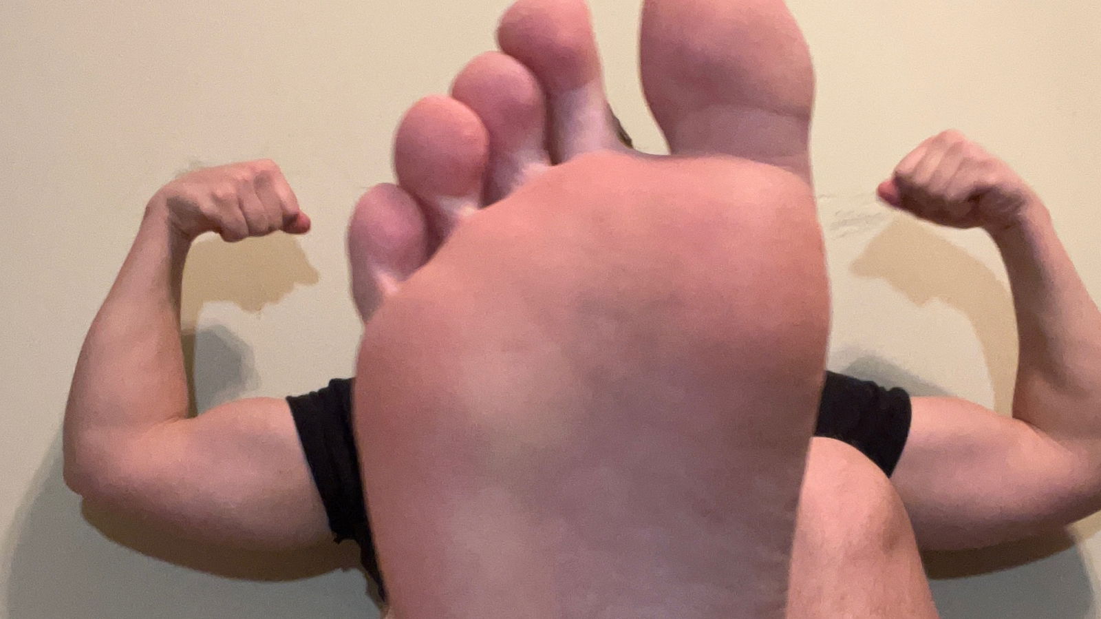 AlphaGymMaster photo