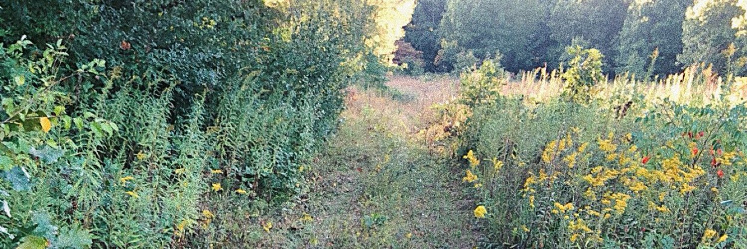 N A T U R E B A B E S photo