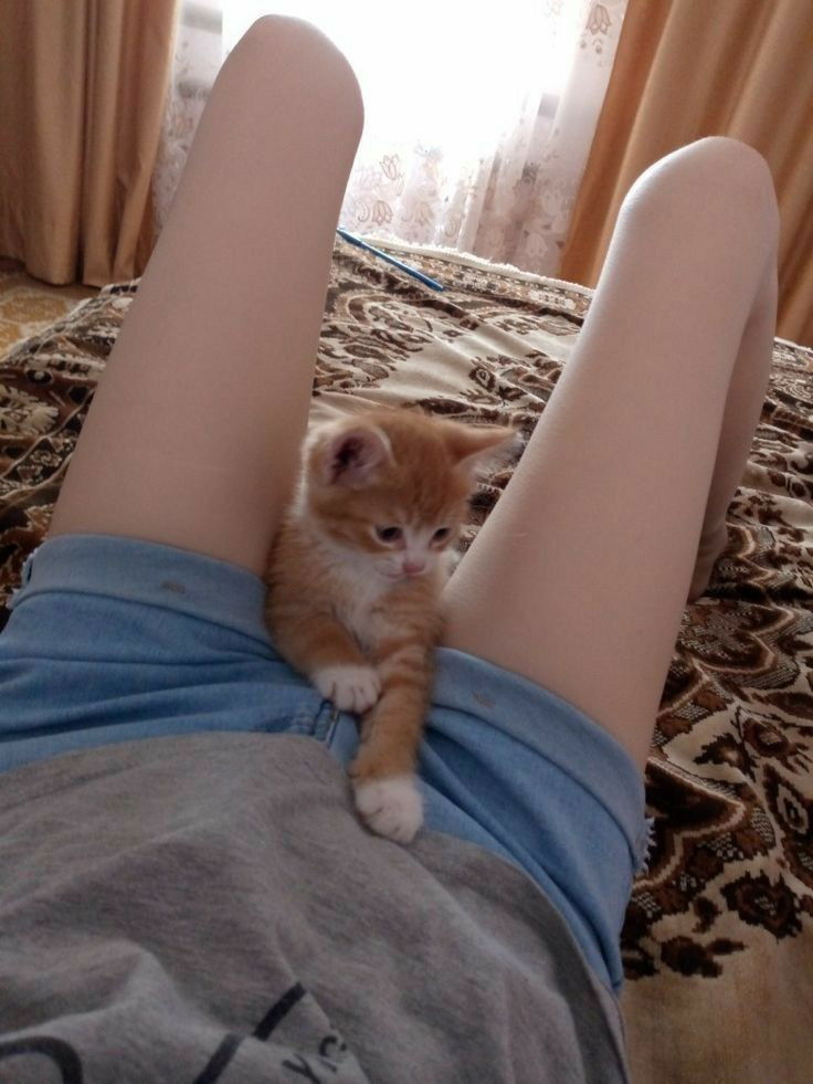 Kaur_shehnaaz__ photo