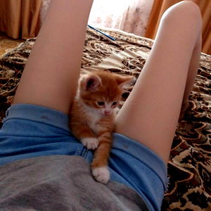 Kaur_shehnaaz__ photo