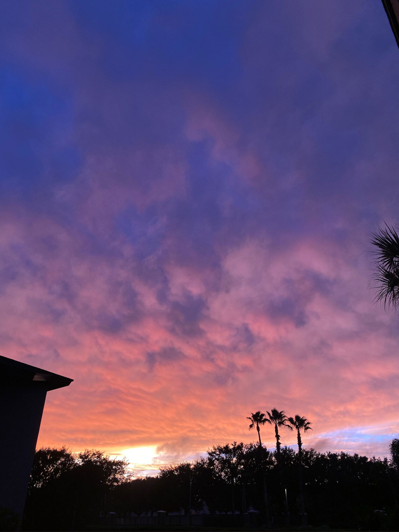 Nymphadoraaaa ♡ photo