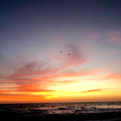 Abril Hernandez photo