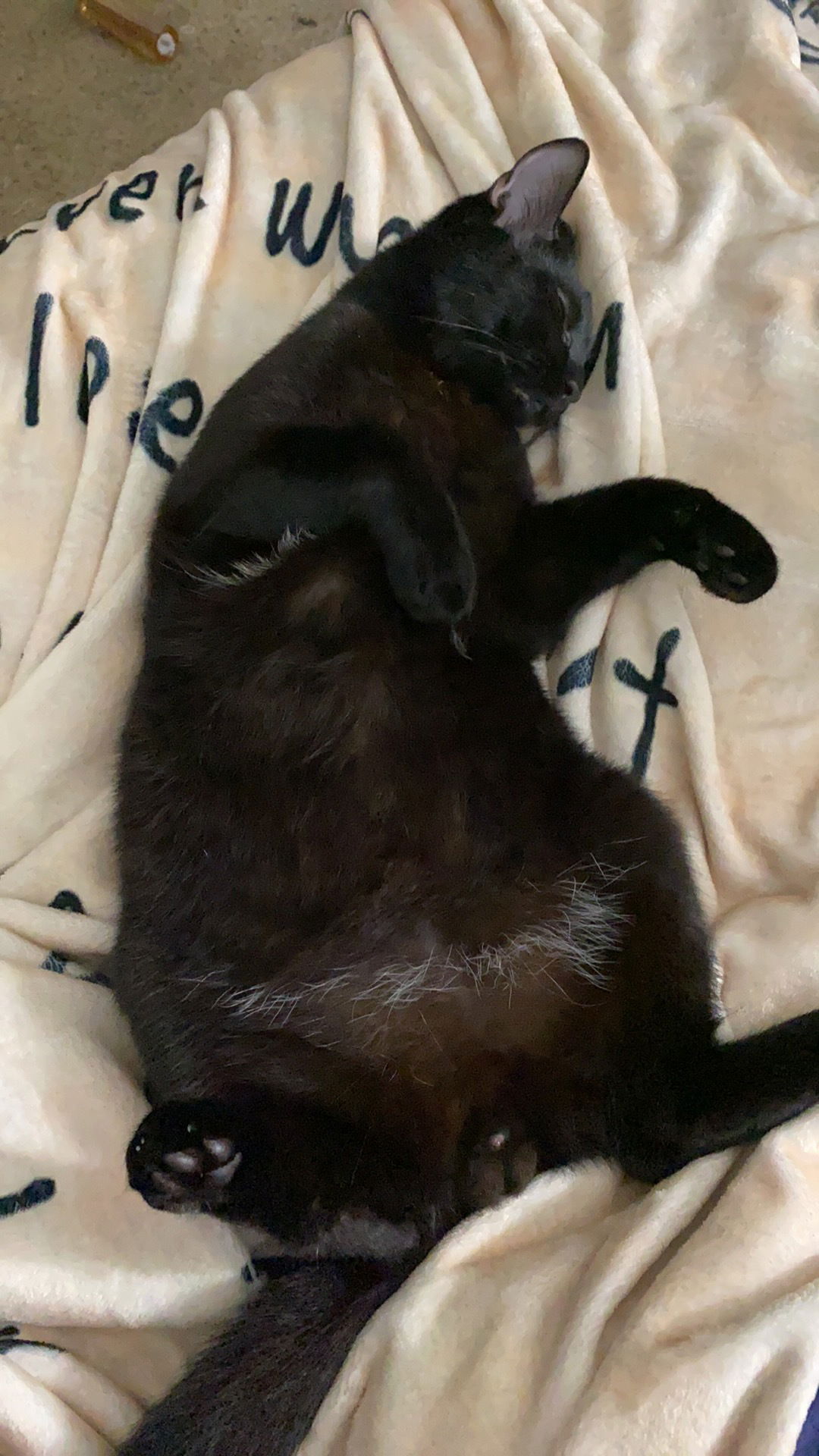 ashley johnson photo