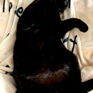 ashley johnson photo