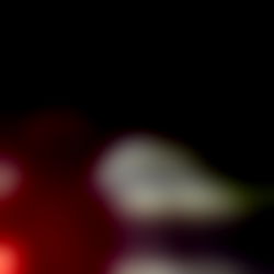 Let's Truck It And Buck It photo