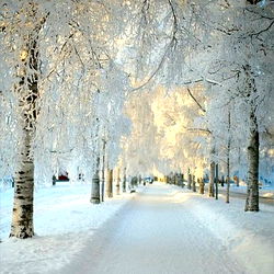 Angelito 💯 Multiple daily posts 💥💙🔥 photo