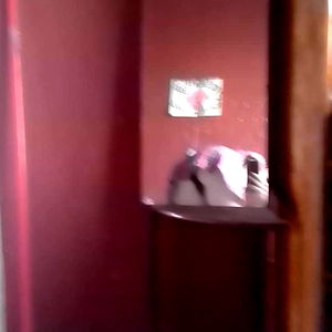 Mibidaesunmeme photo