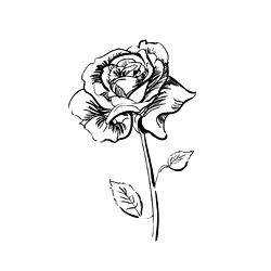 D’te 🔥🗺️🏹 photo