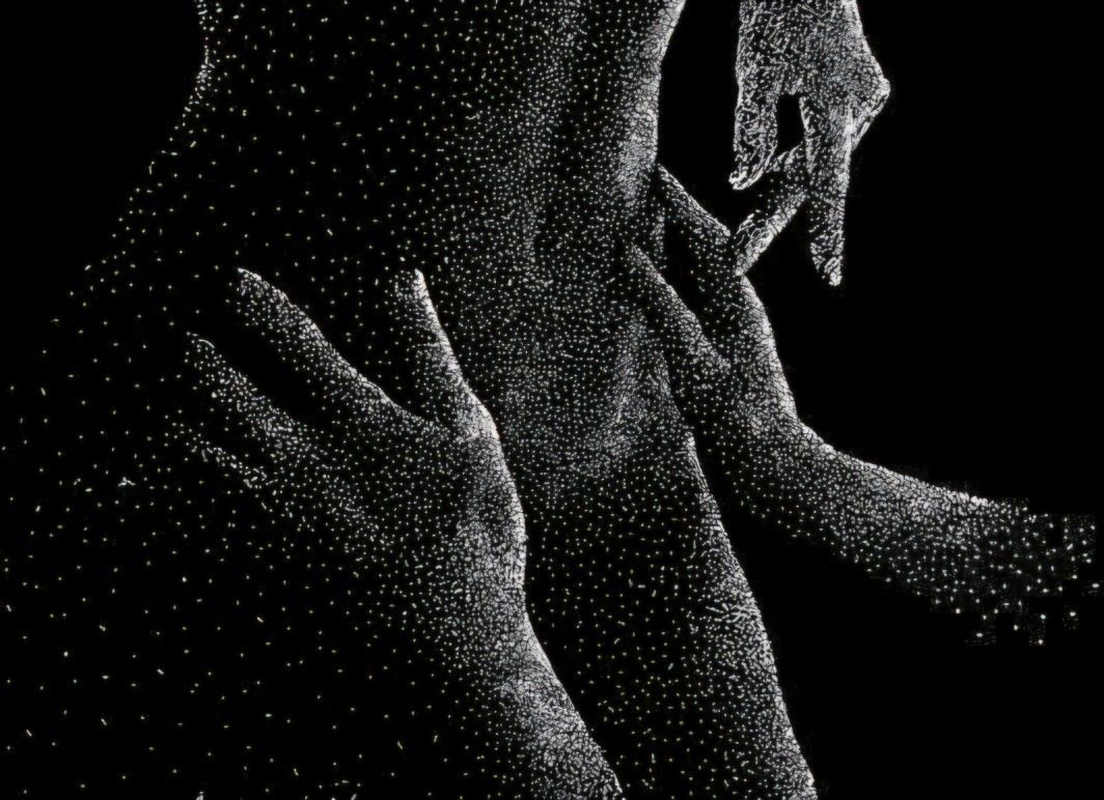 Georgia Louise photo