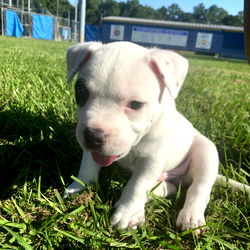 Errrthang_Yanot photo