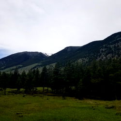 Scenic Mountain View with Vast Field