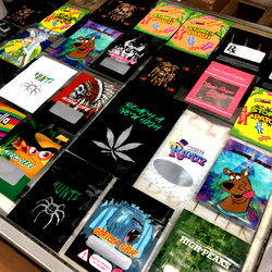 Million dollar baby photo