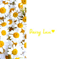 𝔻𝕒𝕚𝕤𝕪 𝕃𝕦𝕦 🌼 photo