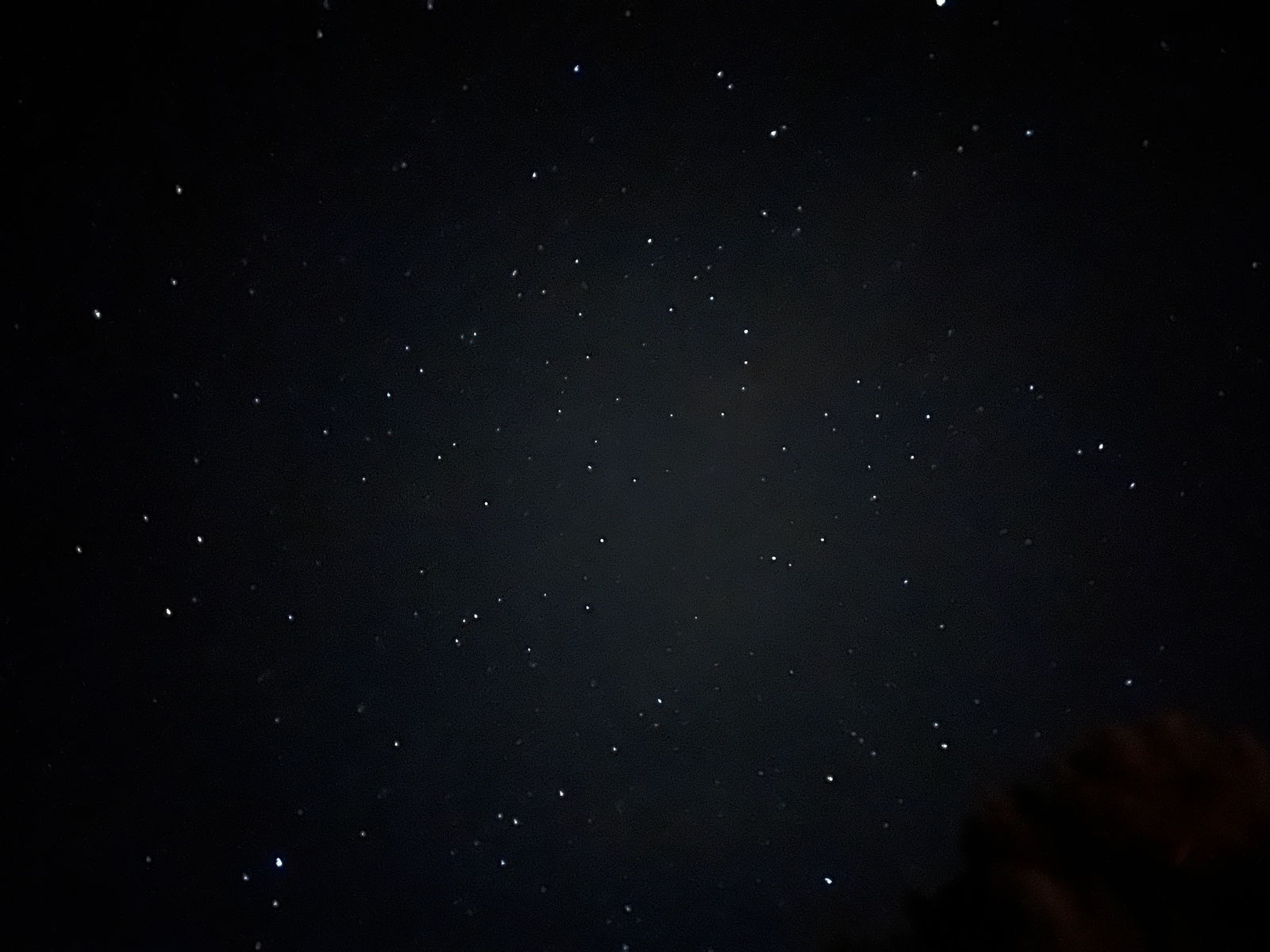 Catch me in Aligns photo