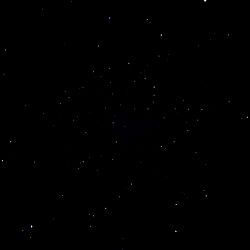 Catch me in Aligns photo