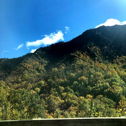 RJ❤️ on a serene, mountainous road