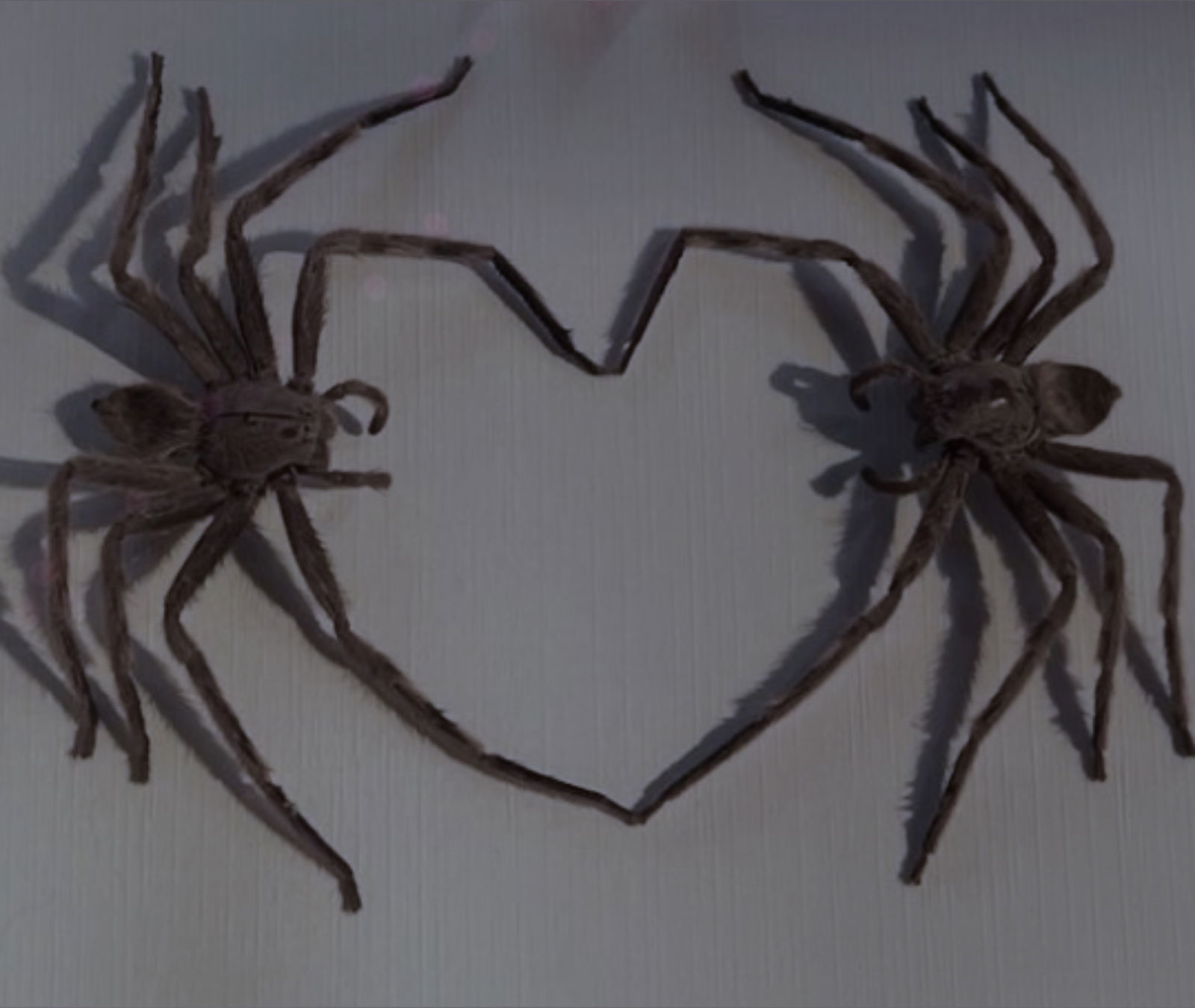 Kat 🧟‍♀️ photo