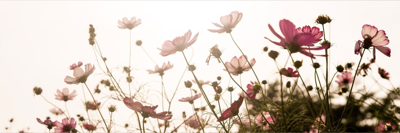 HousewifeMaddie photo