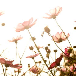 HousewifeMaddie photo