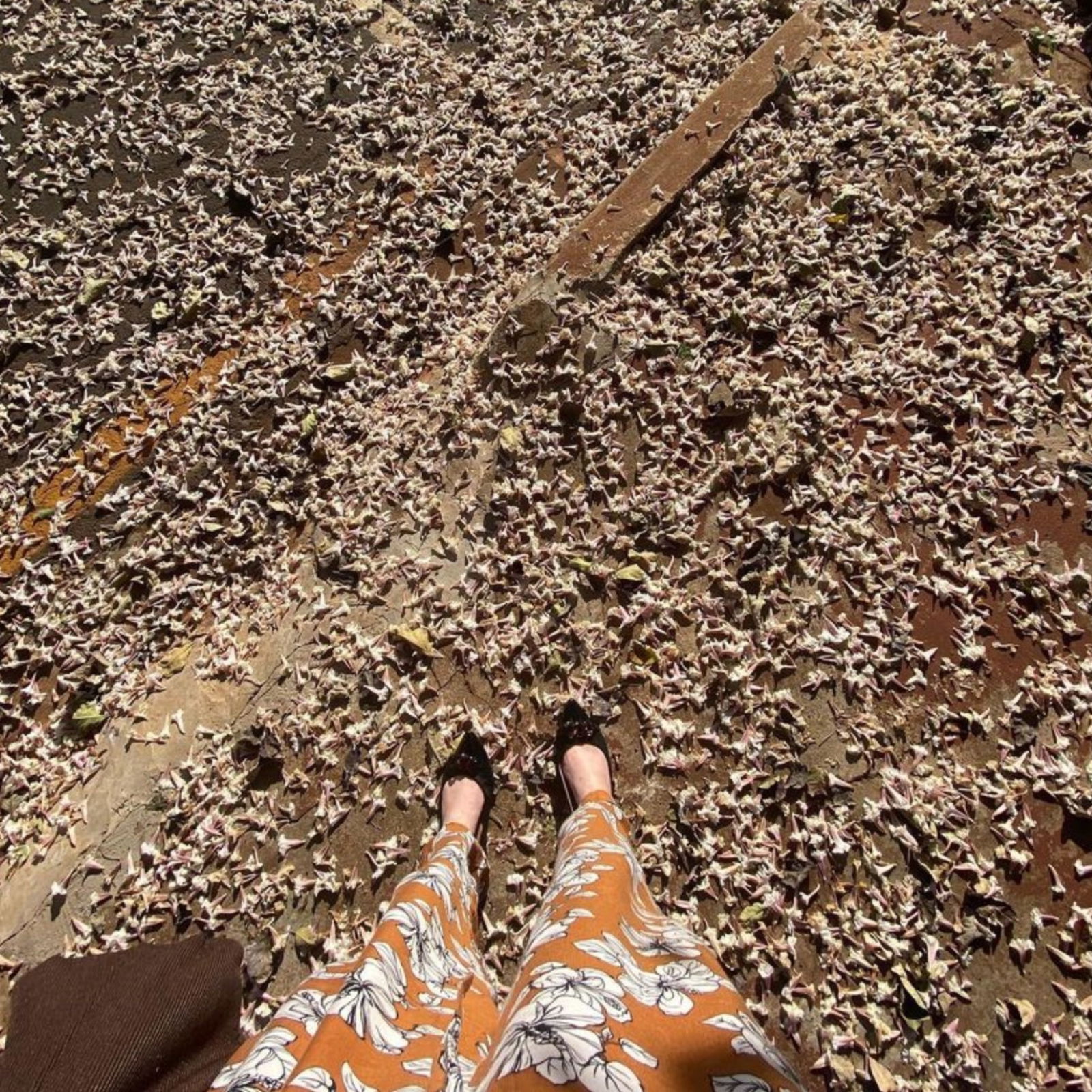 Jasmine Willow #onlyfeet photo