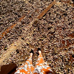 Jasmine Willow #onlyfeet photo