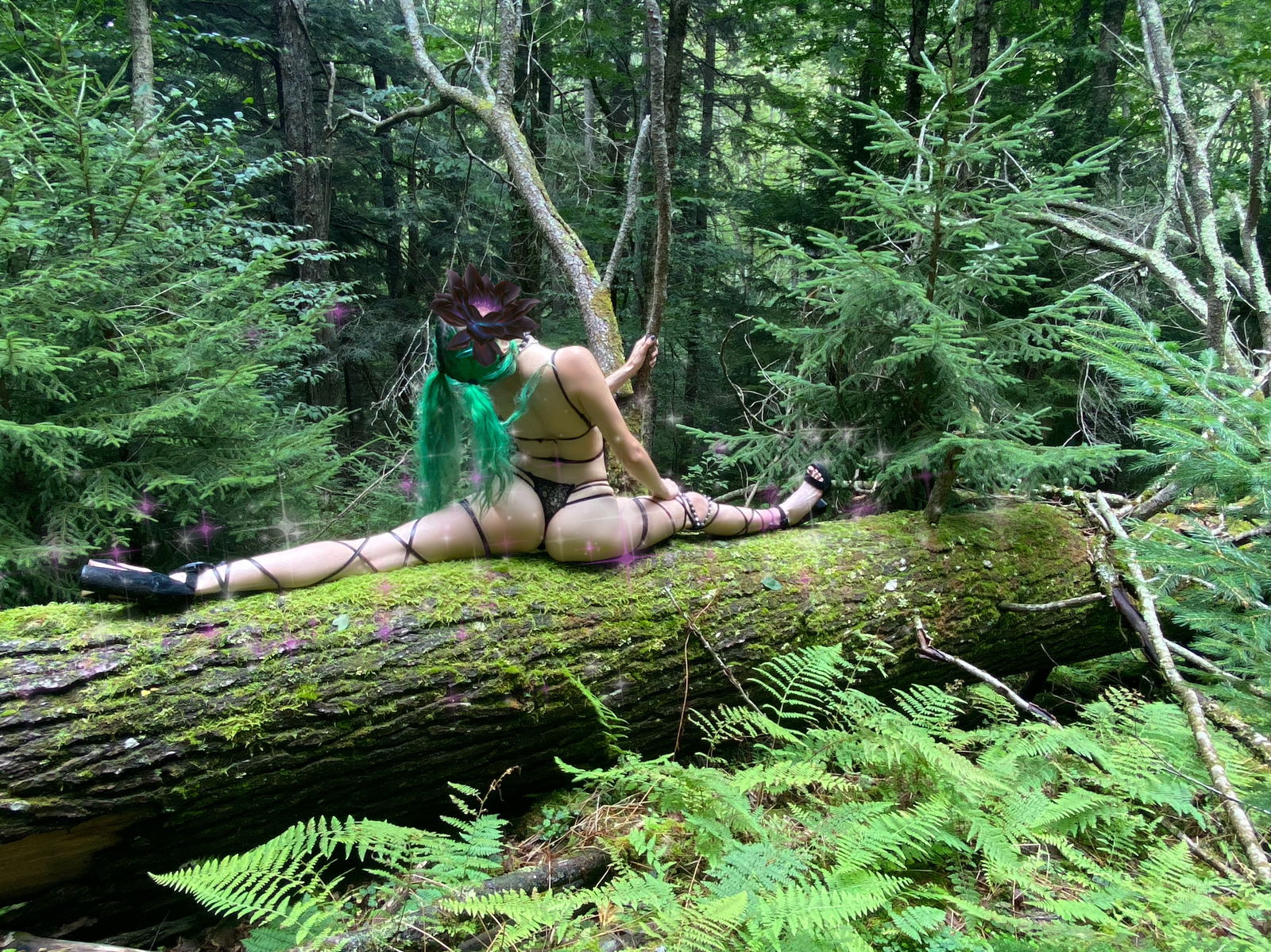 ❀ 𝓓𝓮𝓵𝓲𝓵𝓪𝓱 ❀ photo