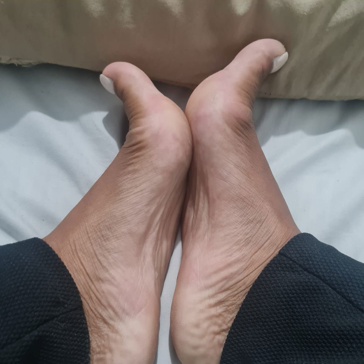 A.deliciana - pés quentinhos photo