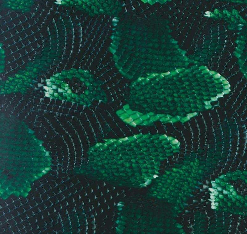 AlexanderDutch photo