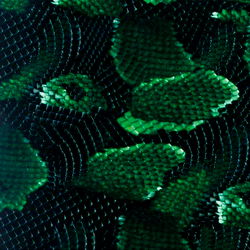 AlexanderDutch photo