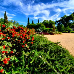 Houston Hottie😜 photo