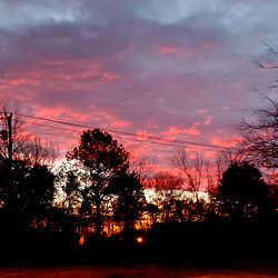 Lizzie Cooper {Shortie} photo