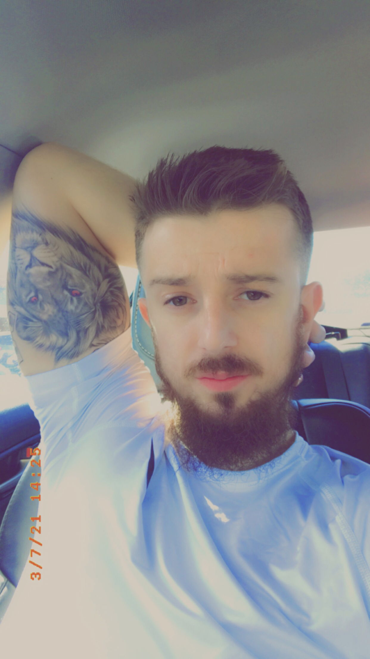 Halfmanhalfhorse photo