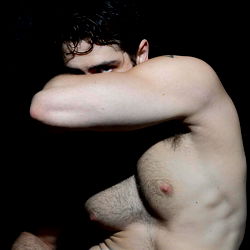 Rooster Stampede photo