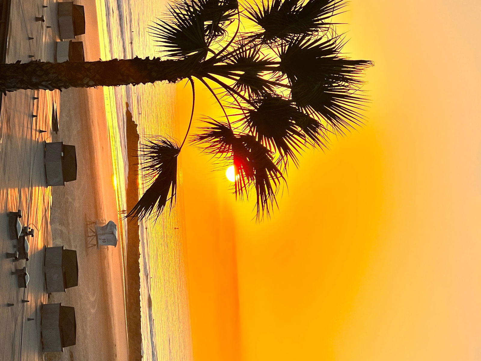 Alexandria Wiles photo