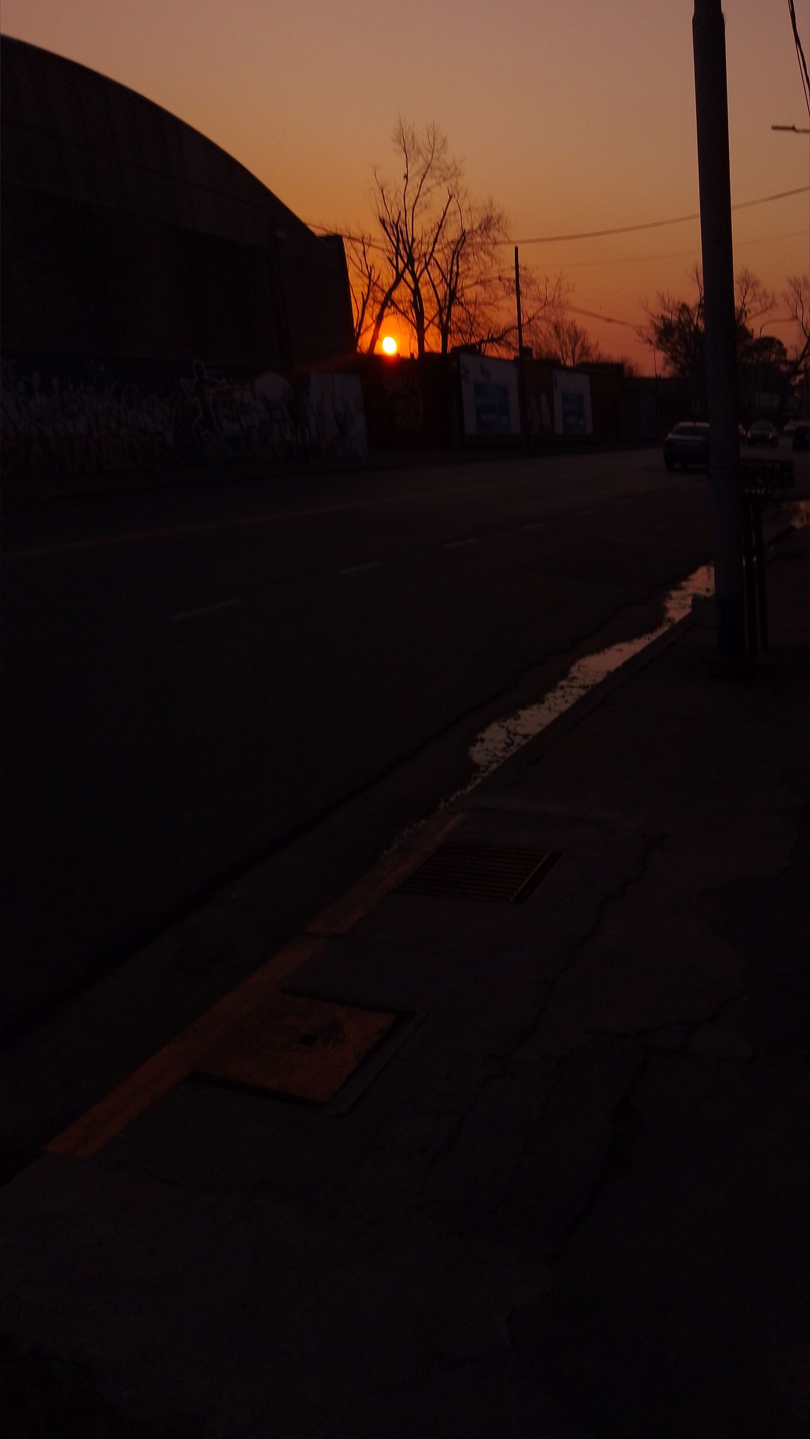 celeste Jazmin Soto photo