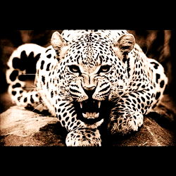 Vanessa Sanchez💋 photo