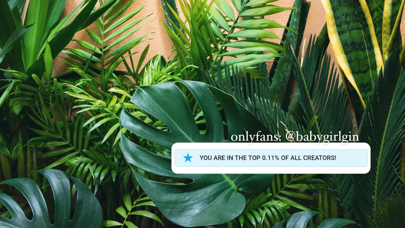 ginny (top 0.11%) photo