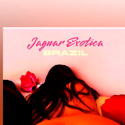 Jaguar Exotica Brazil