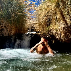 Felippe Masson photo