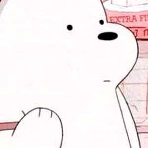 polar ๐ณ๏ธโ๐ photo