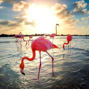 Babygirl๐ฉท๐ซถ๐ผ๐ฆฉ photo