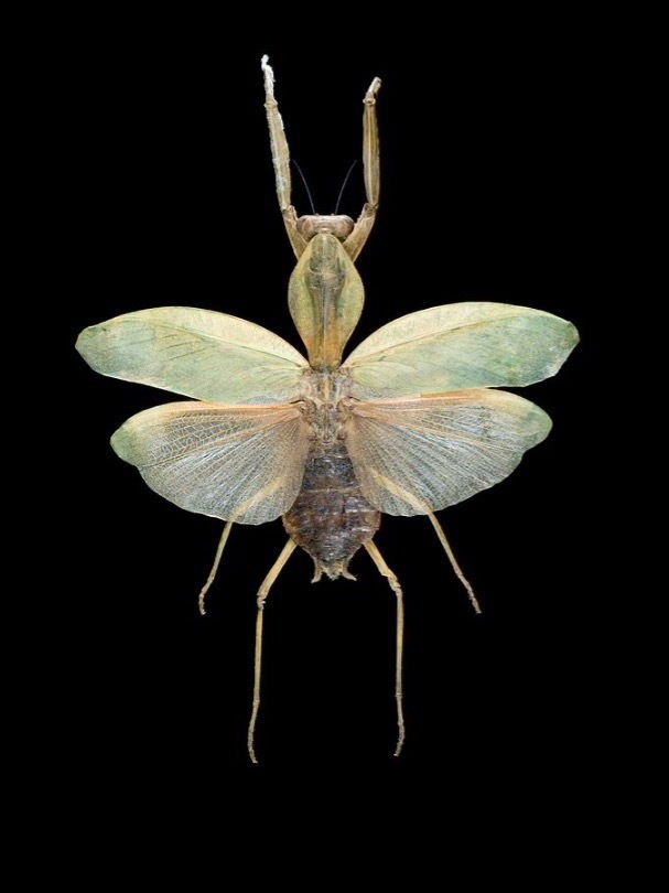 ₓₒ♡̩̥̩ʟᴏᴠᴇᴛᴛᴇ♡̩̥̩ₓₒ photo