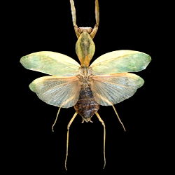 ₓₒ♡̩̥̩ʟᴏᴠᴇᴛᴛᴇ♡̩̥̩ₓₒ photo