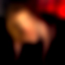 Moon After Dark photo