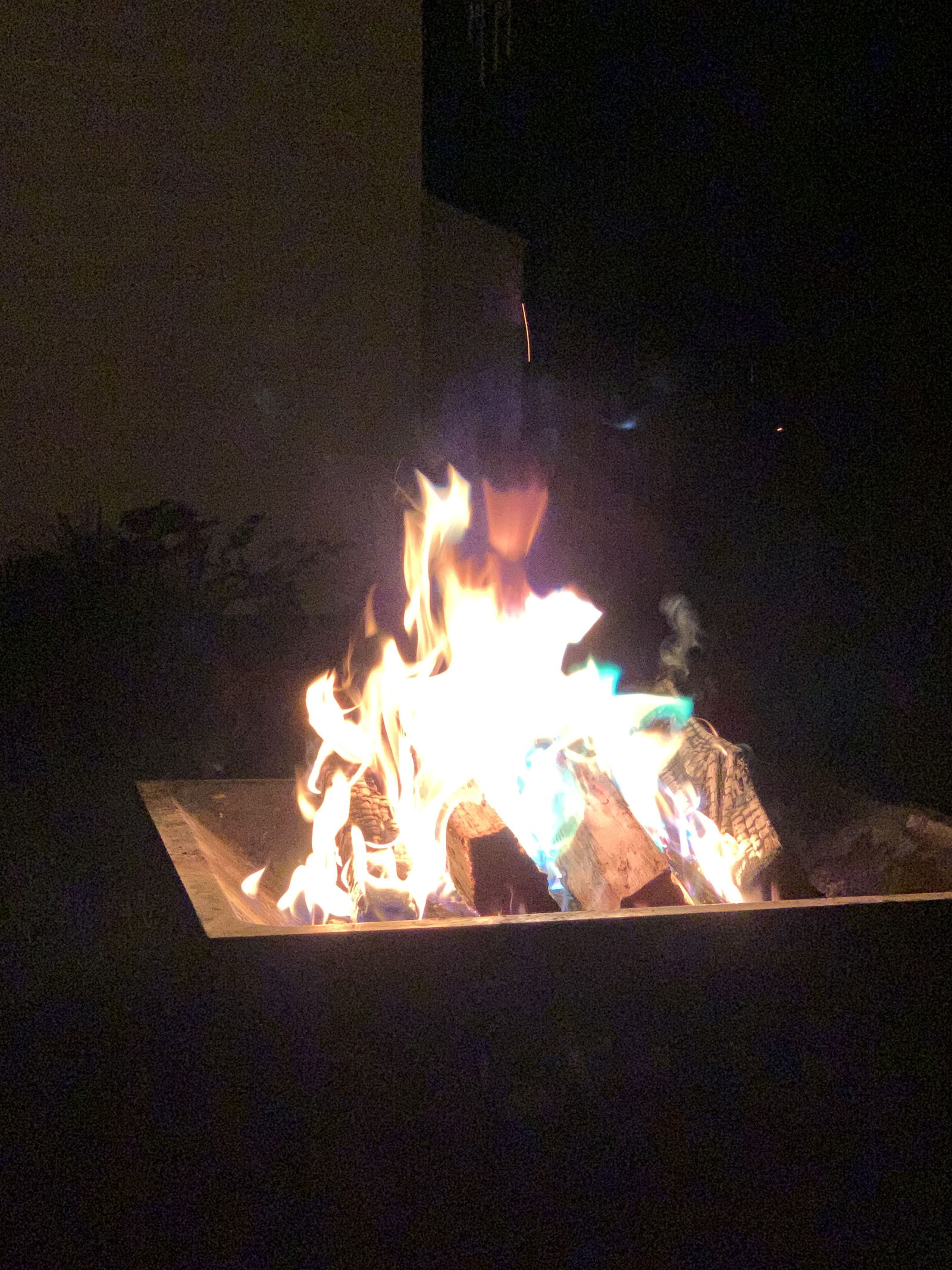 Queen of Heart5 photo